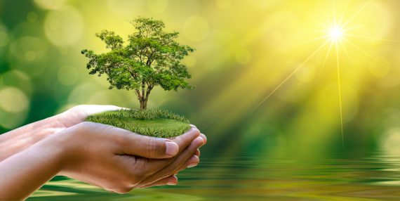 7 Eco-Friendly Companies That Are Making a big change