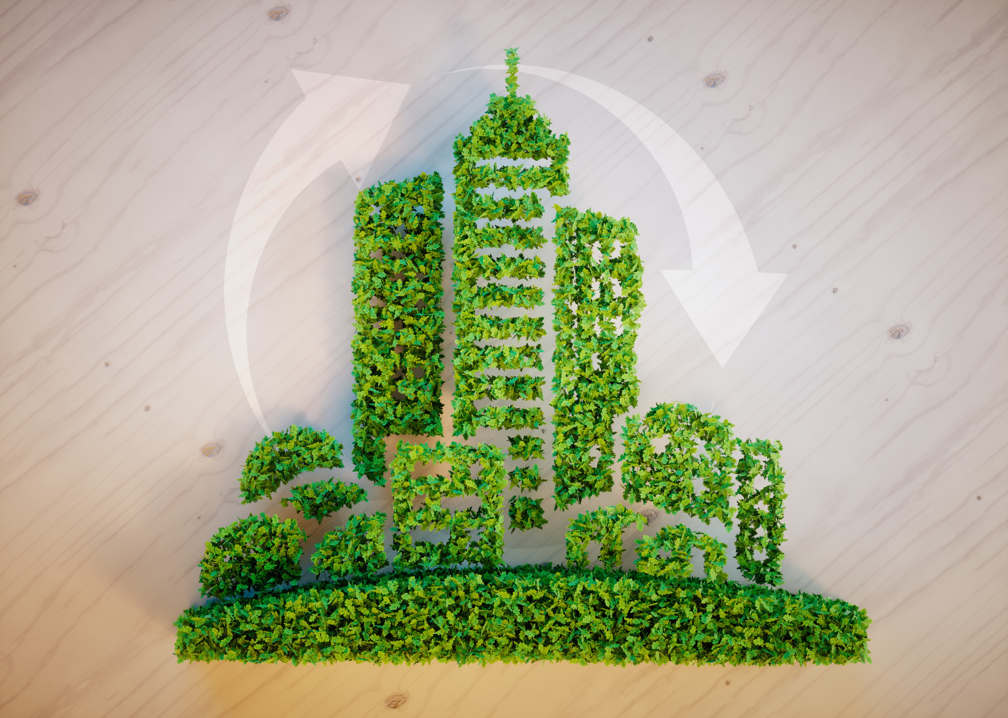  Sustainability at work: How to Make Your workplace Eco Friendly