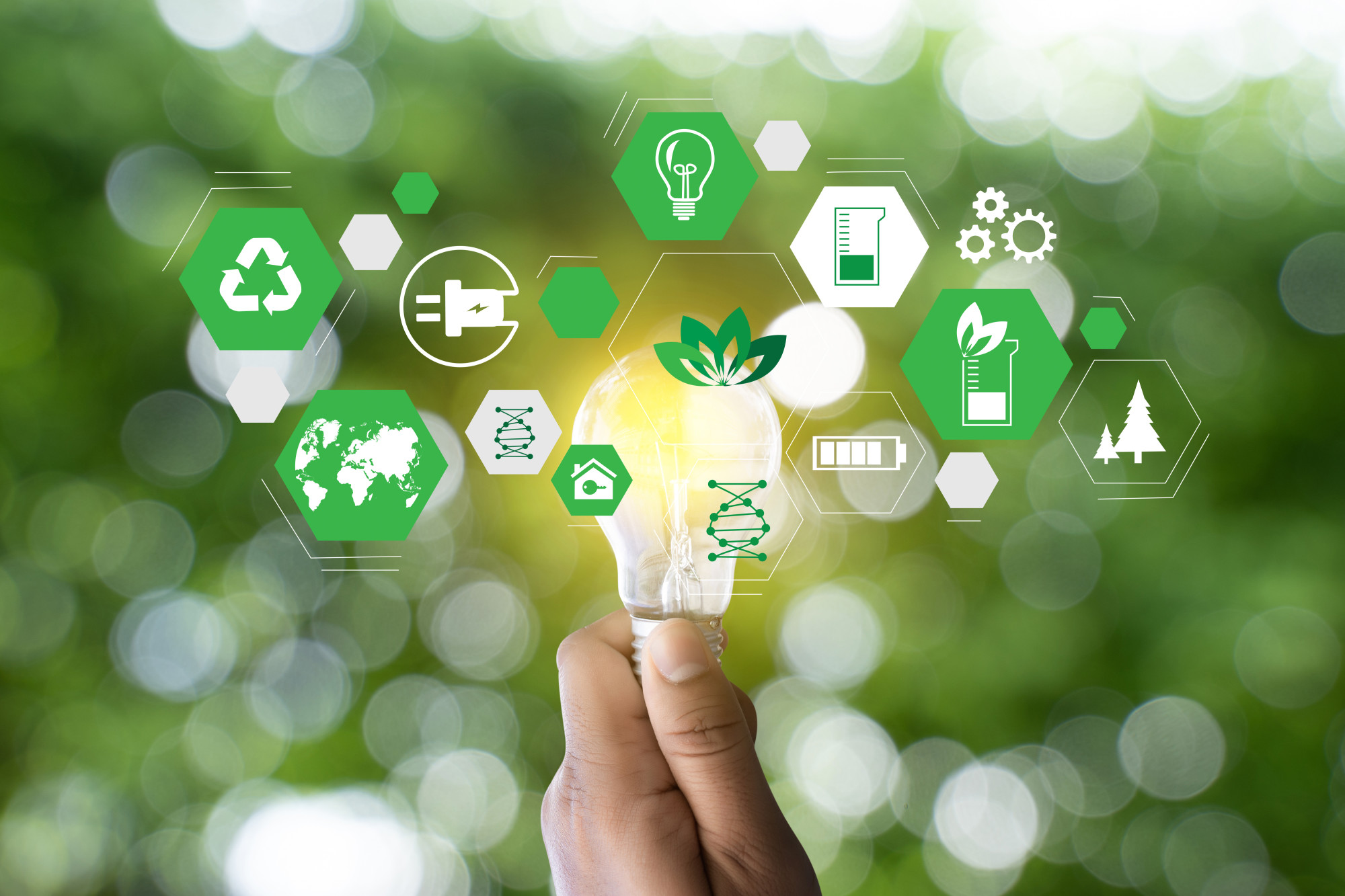  How you can Become more Sustainable and Eco Friendly When Planning an Event