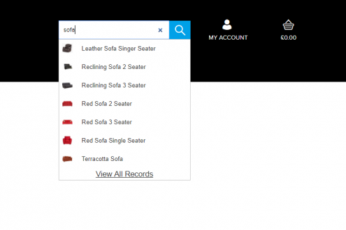 Cloudfy feature spotlight #7 – Predictive Look for B2B Ecommerce B2B Ecommerce Software