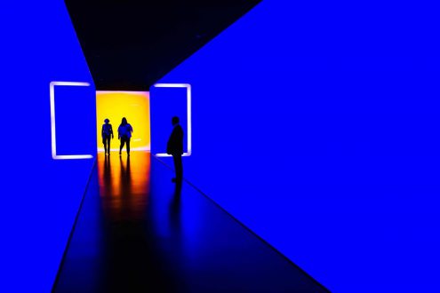 How a B2B portal can revolutionize your business B2B Ecommerce Software