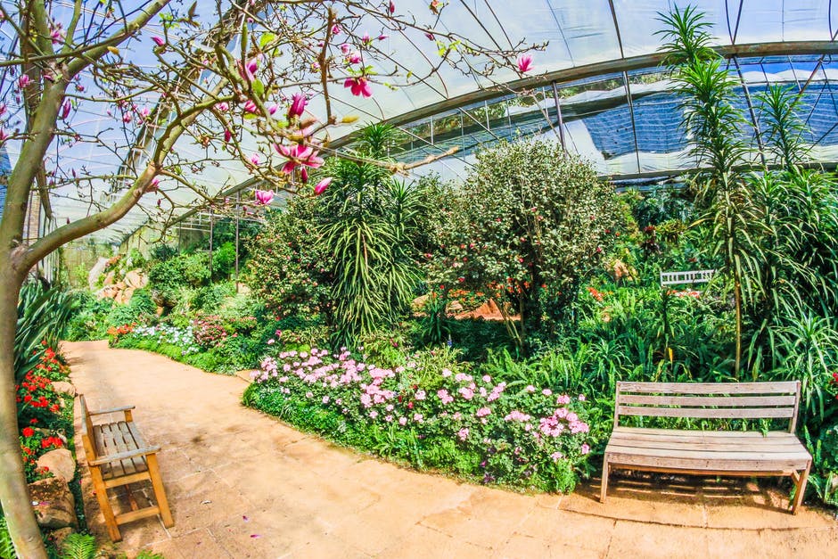  The very best Virginia Beach Parks and Green Attractions