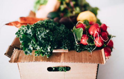 What else could you Do About Food Waste?